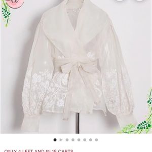 Lovely, feminine sheer blouse. This is a very, very pale peach. Elegant!